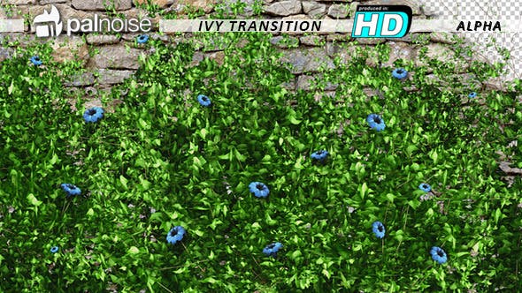 Vegetation Grow and Blue Flowers - Download Videohive 11855053