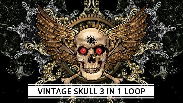 Vintage Skull - Download 21307678 Videohive