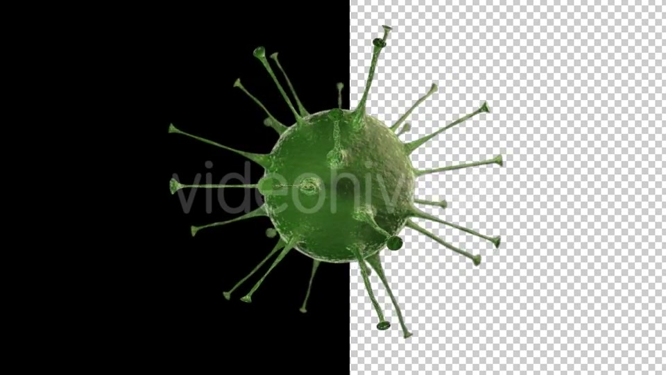 Virus Videohive 15024024 Motion Graphics Image 4