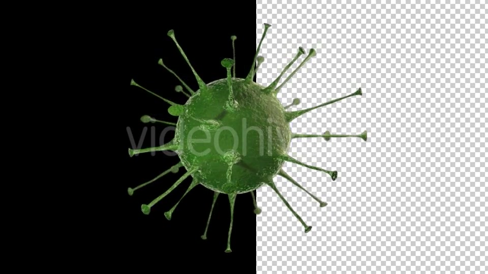 Virus Videohive 15024024 Motion Graphics Image 5
