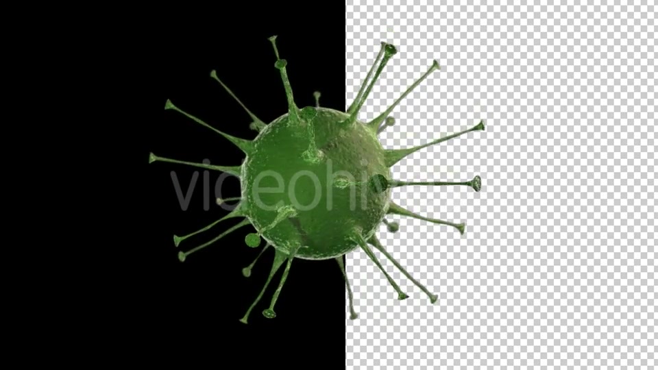 Virus Videohive 15024024 Motion Graphics Image 7