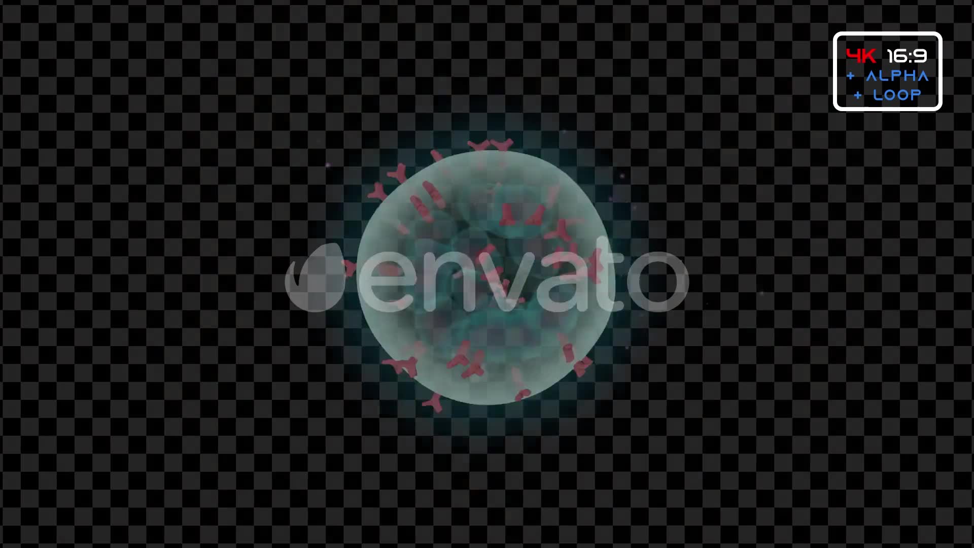 Virus Infection Medical HUD Body Pack Videohive 25946269 Motion Graphics Image 2
