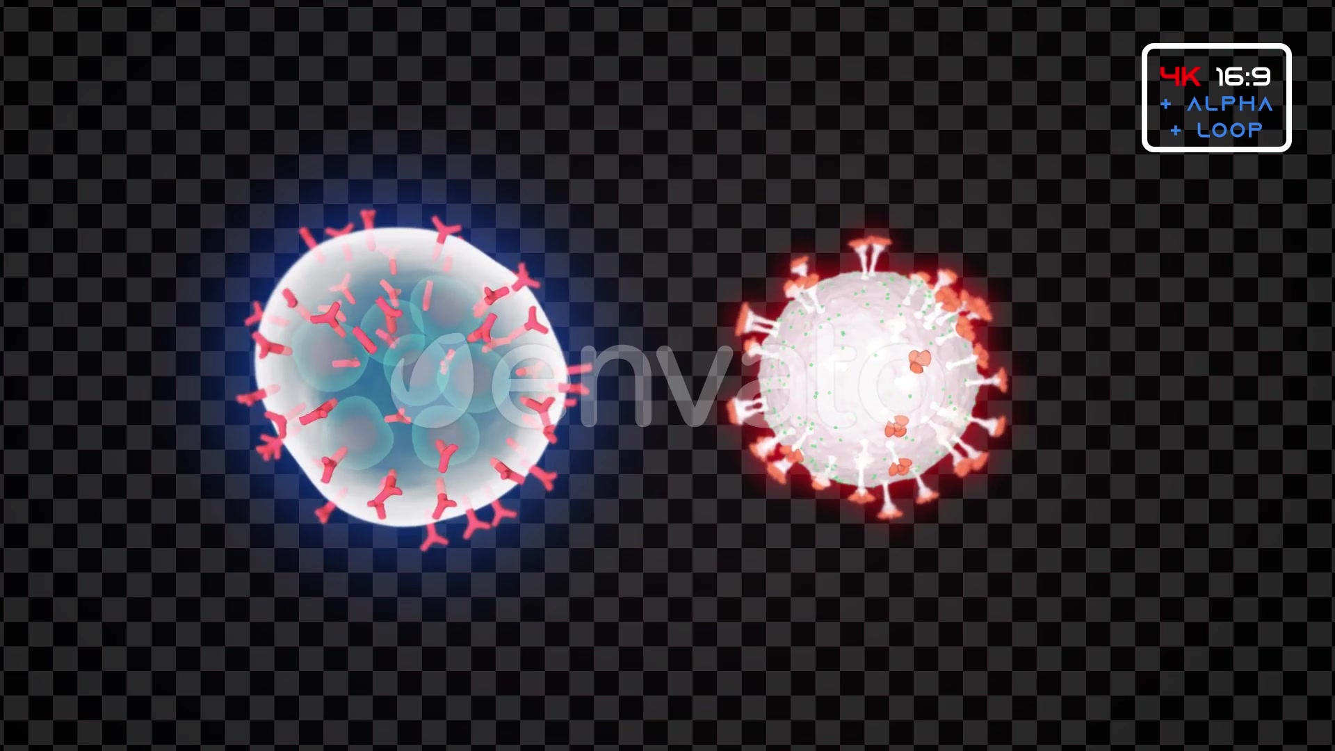 Virus Infection Medical HUD Body Pack Videohive 25946269 Motion Graphics Image 5