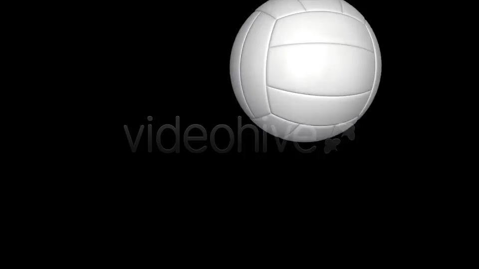 Volleyball White Transition Hits Videohive 3690775 Motion Graphics Image 11