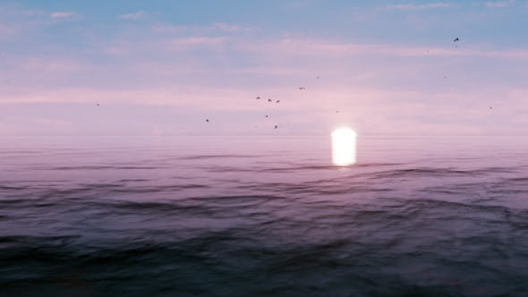 VR 360 Degree Panorama Ocean Sunset Seagulls - 20502319 Download Videohive