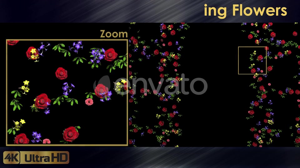 Wall Of Growing Flowers Videohive 22570791 Motion Graphics Image 2