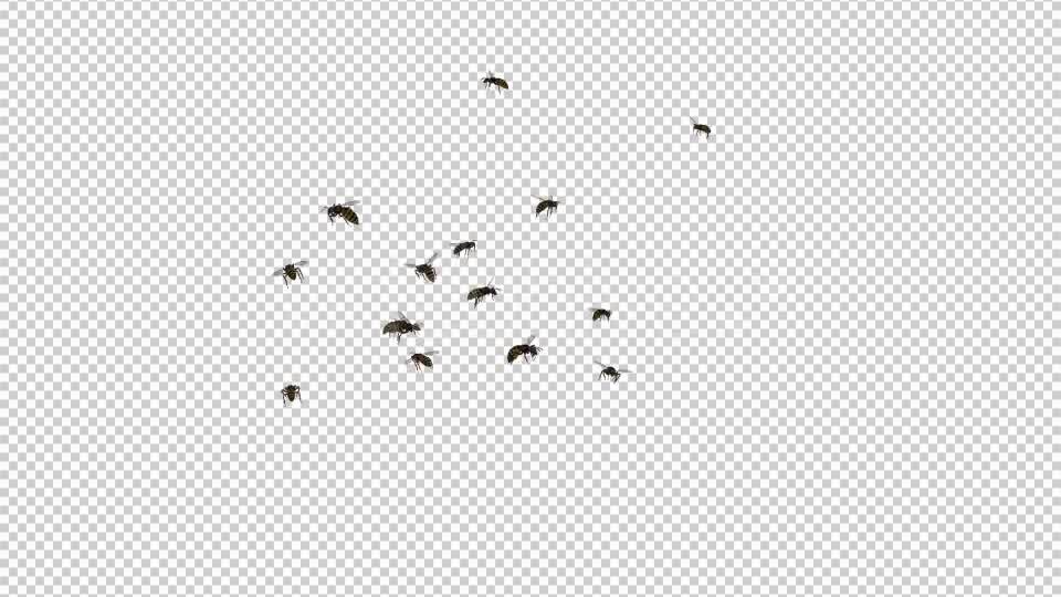 Wasp Swarm Flying Around 4K Videohive 20837586 Motion Graphics Image 11