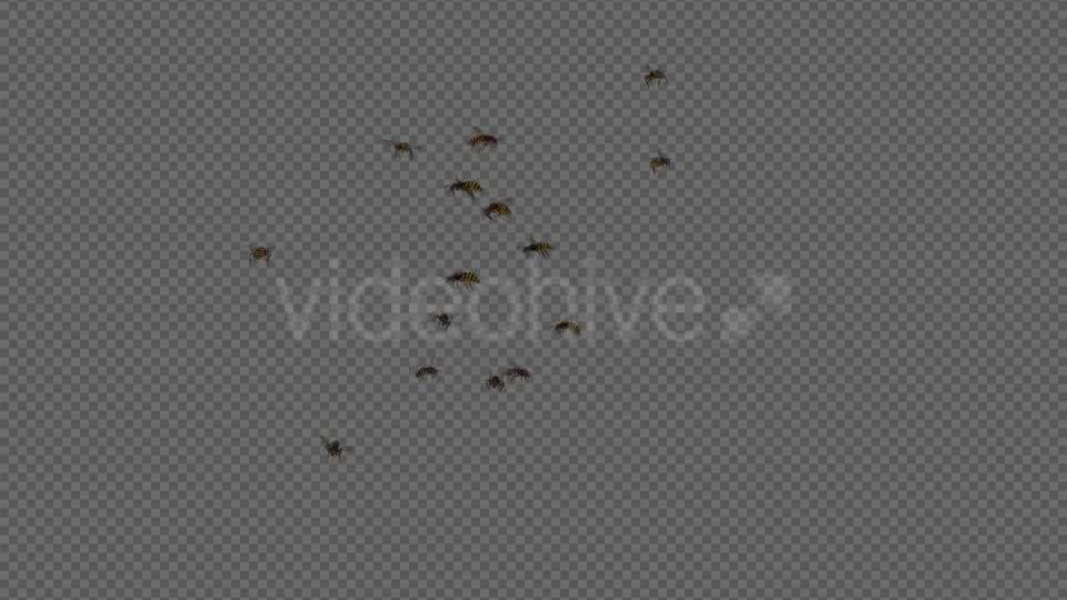 Wasp Swarm Flying Around 4K Videohive 20837586 Motion Graphics Image 12