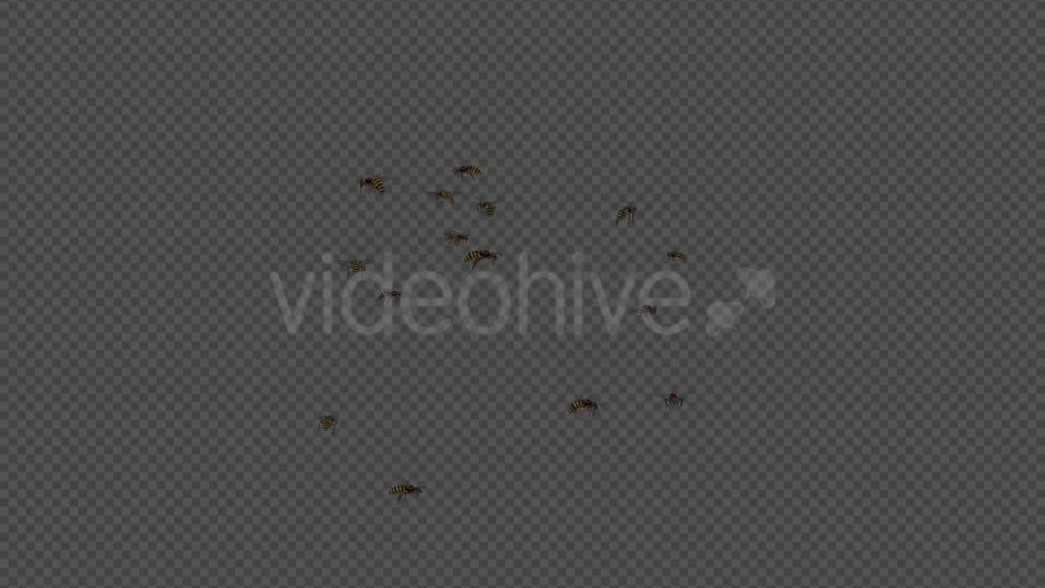 Wasp Swarm Flying Around 4K Videohive 20837586 Motion Graphics Image 2