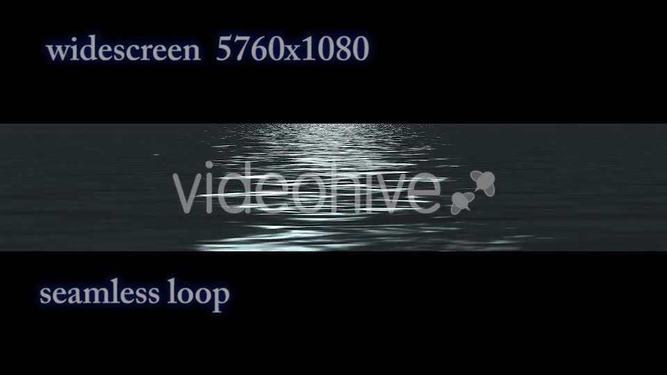 Water at Night and Moon Track Videohive 21335508 Motion Graphics Image 2