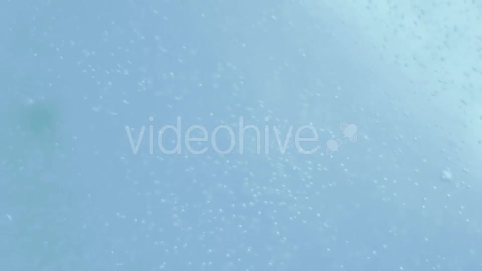 Water Beer Particles Bubbles Background Videohive 10703180 Motion Graphics Image 1