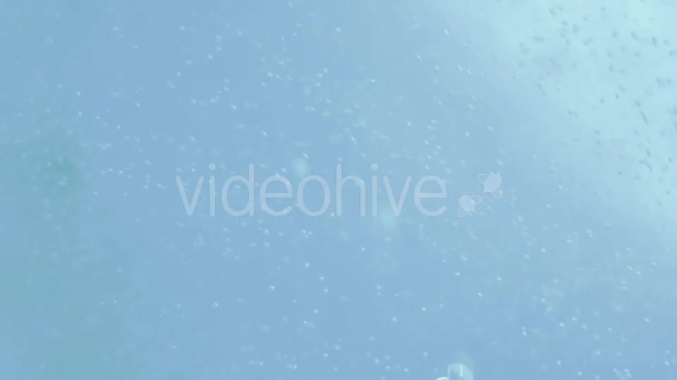 Water Beer Particles Bubbles Background Videohive 10703180 Motion Graphics Image 2