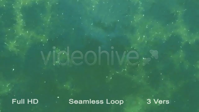 Water Patern Loops Videohive 21573987 Motion Graphics Image 4
