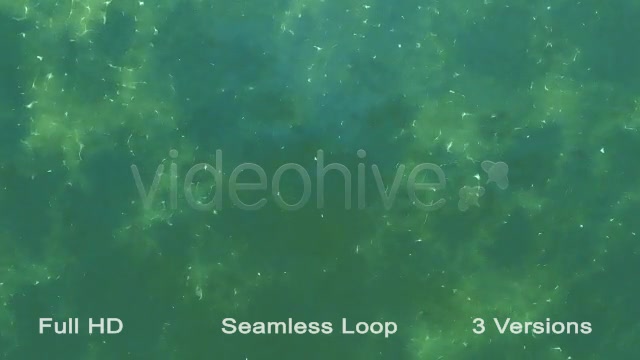 Water Patern Loops Videohive 21573987 Motion Graphics Image 5