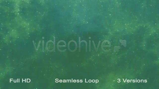 Water Patern Loops Videohive 21573987 Motion Graphics Image 6