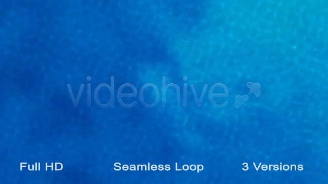 Water Patern Loops Videohive 21573987 Motion Graphics Image 7