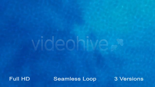 Water Patern Loops Videohive 21573987 Motion Graphics Image 8