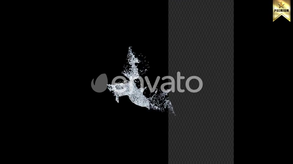 Water Splash Videohive 25688835 Motion Graphics Image 11