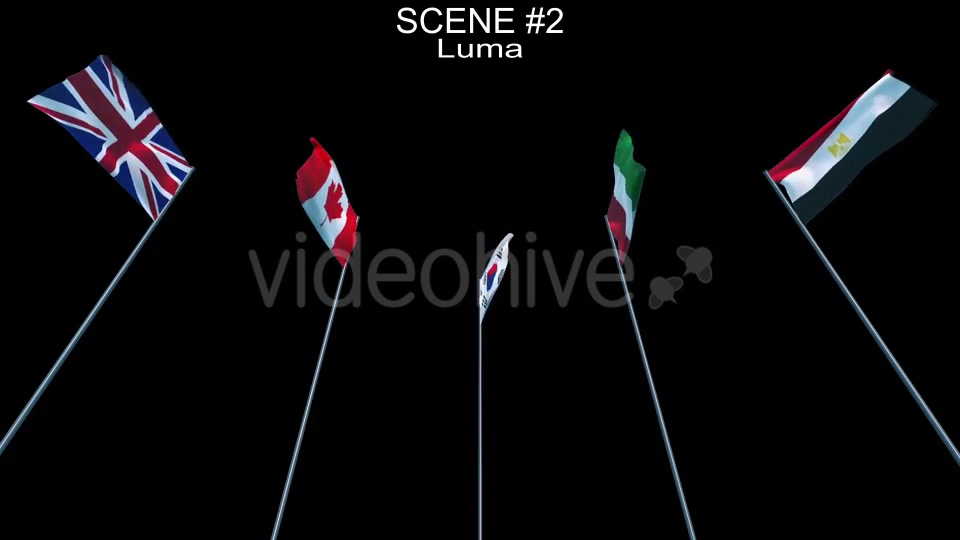Waving Flags Videohive 8906388 Motion Graphics Image 10
