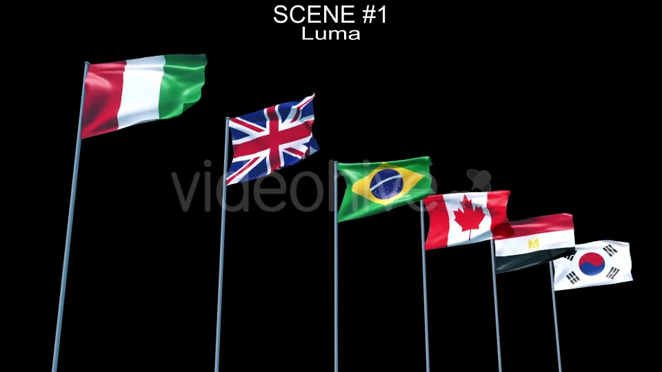 Waving Flags Videohive 8906388 Motion Graphics Image 5