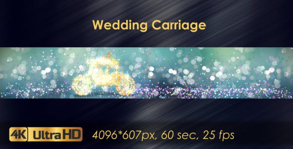 Wedding Carriage - Download Videohive 20683060