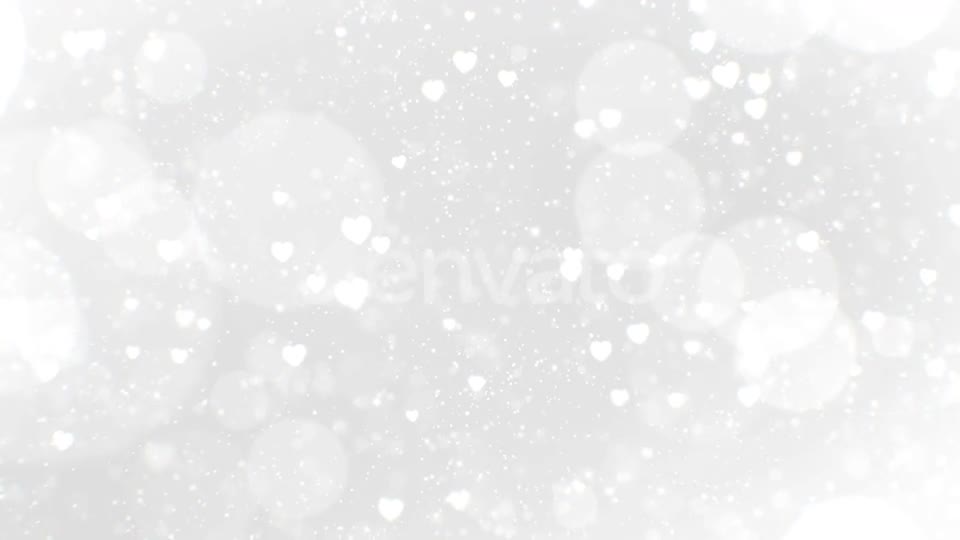 Wedding Light Background Videohive 25658691 Motion Graphics Image 1