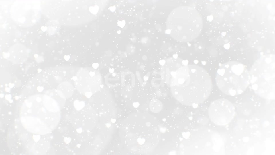 Wedding Light Background Videohive 25658691 Motion Graphics Image 3