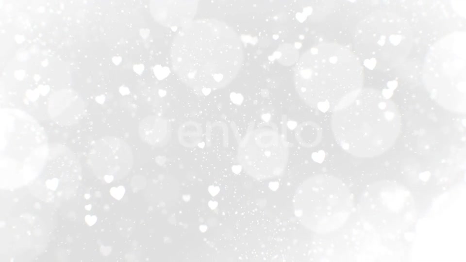 Wedding Light Background Videohive 25658691 Motion Graphics Image 6