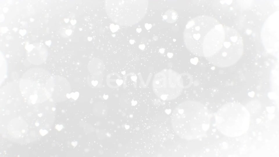 Wedding Light Background Videohive 25658691 Motion Graphics Image 7