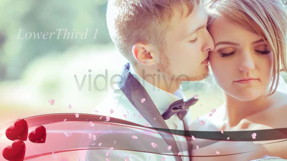 Wedding Lower Thirds Videohive 5036671 Motion Graphics Image 1