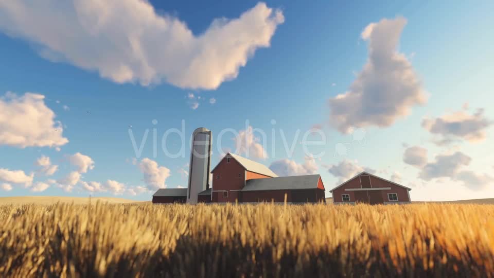Wheat Field and Farm Videohive 20378206 Motion Graphics Image 1