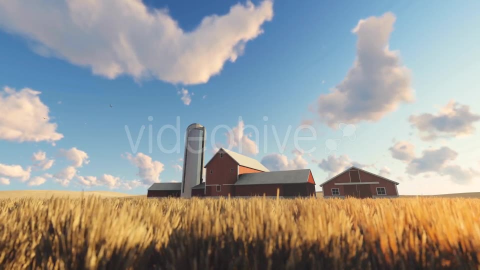 Wheat Field and Farm Videohive 20378206 Motion Graphics Image 2