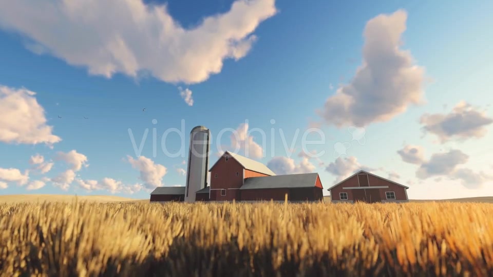 Wheat Field and Farm Videohive 20378206 Motion Graphics Image 3