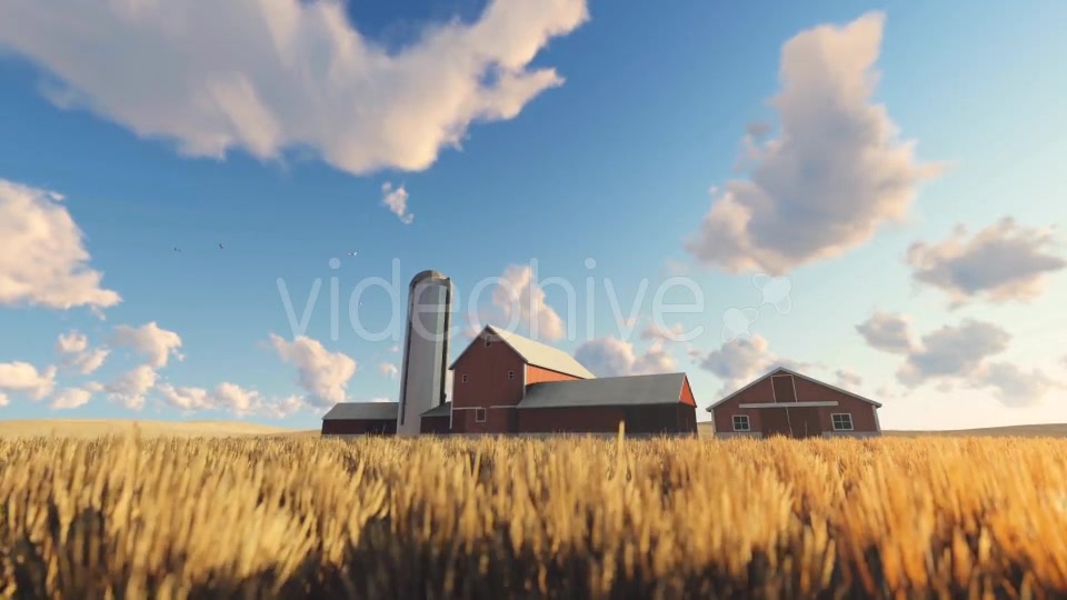 Wheat Field and Farm Videohive 20378206 Motion Graphics Image 4