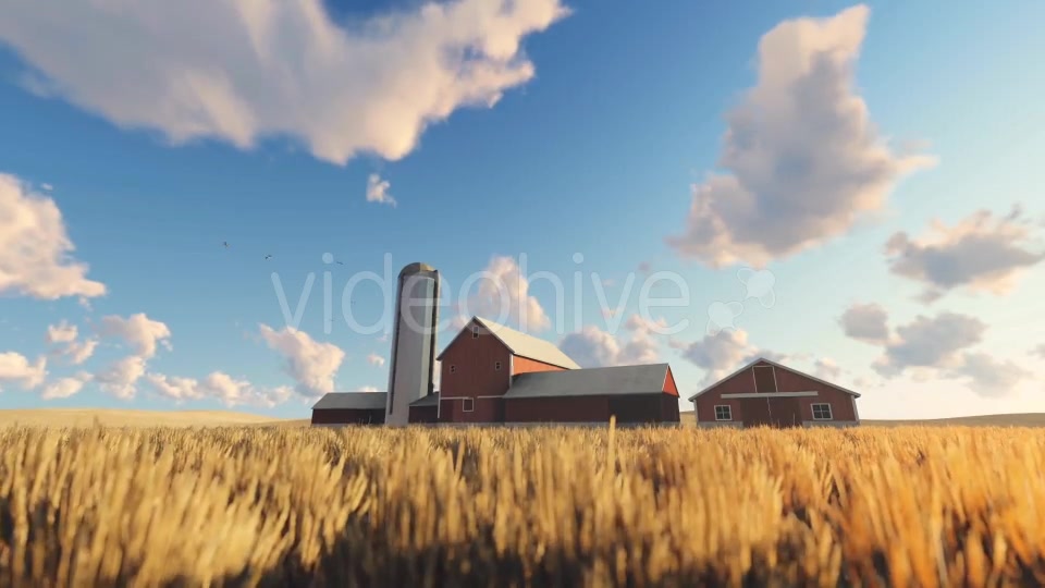 Wheat Field and Farm Videohive 20378206 Motion Graphics Image 5