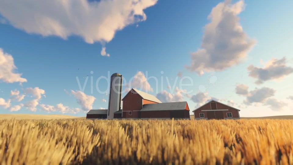 Wheat Field and Farm Videohive 20378206 Motion Graphics Image 6