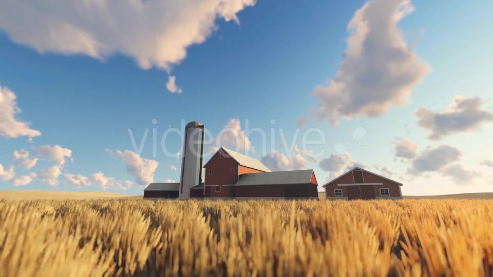 Wheat Field and Farm Videohive 20378206 Motion Graphics Image 7