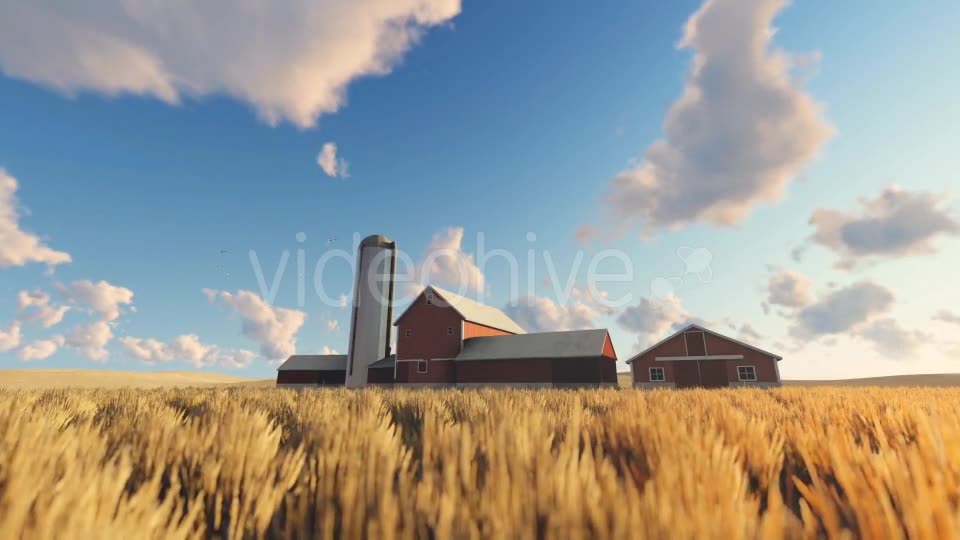 Wheat Field and Farm Videohive 20378206 Motion Graphics Image 8