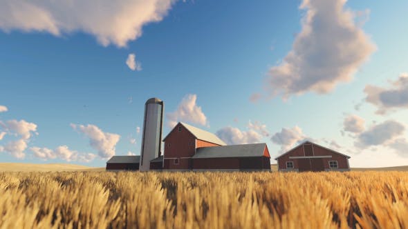 Wheat Field and Farm - Videohive Download 20378206