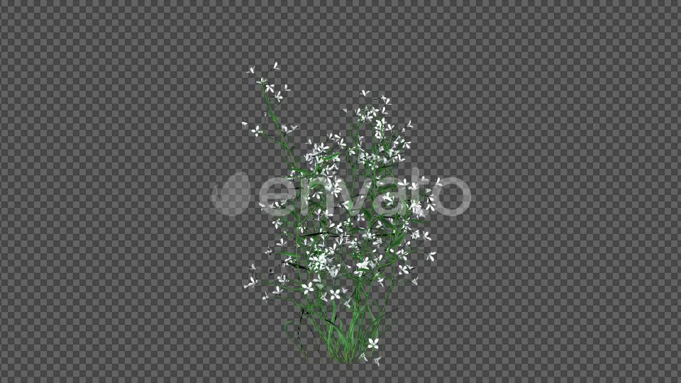 White Flowers Videohive 22392036 Motion Graphics Image 4