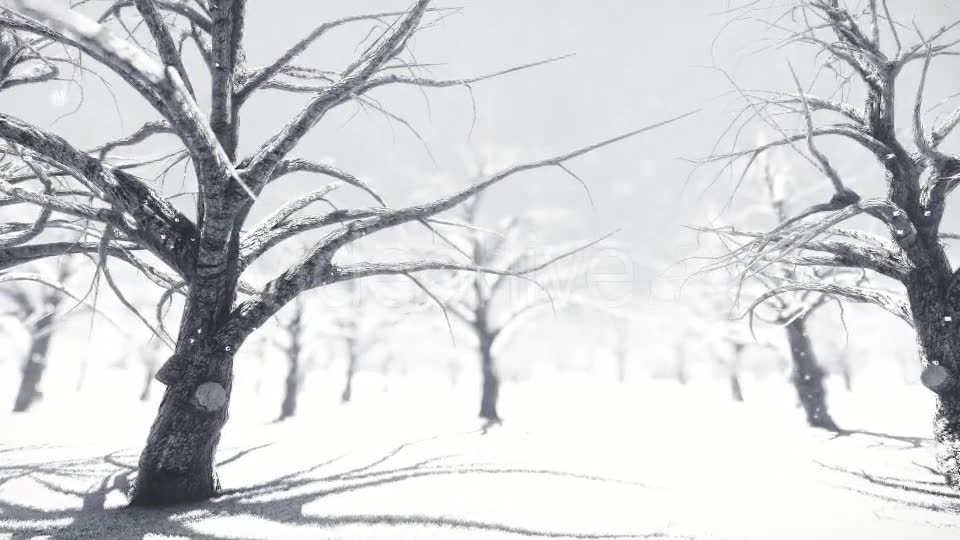 White Forest Videohive 18464098 Motion Graphics Image 2