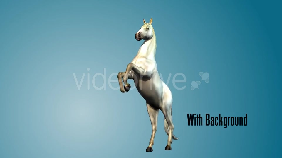 White Horse Rearing 02 Videohive 19255703 Motion Graphics Image 3