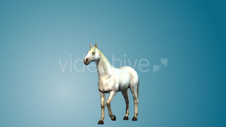 White Horse Rearing 02 Videohive 19255703 Motion Graphics Image 4