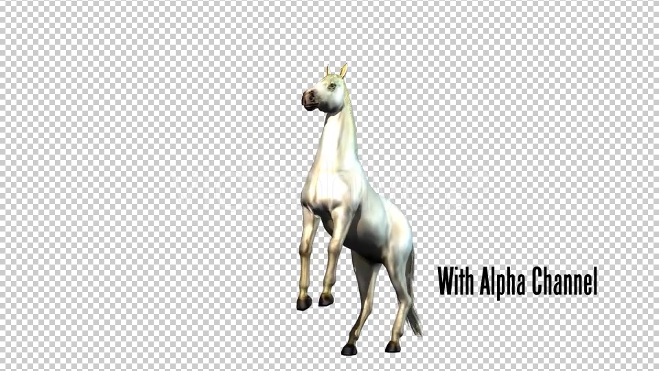 White Horse Rearing 02 Videohive 19255703 Motion Graphics Image 6