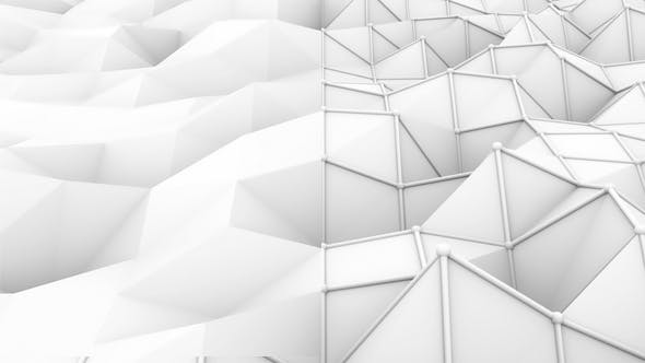 White Low Poly Background - Videohive Download 19712505