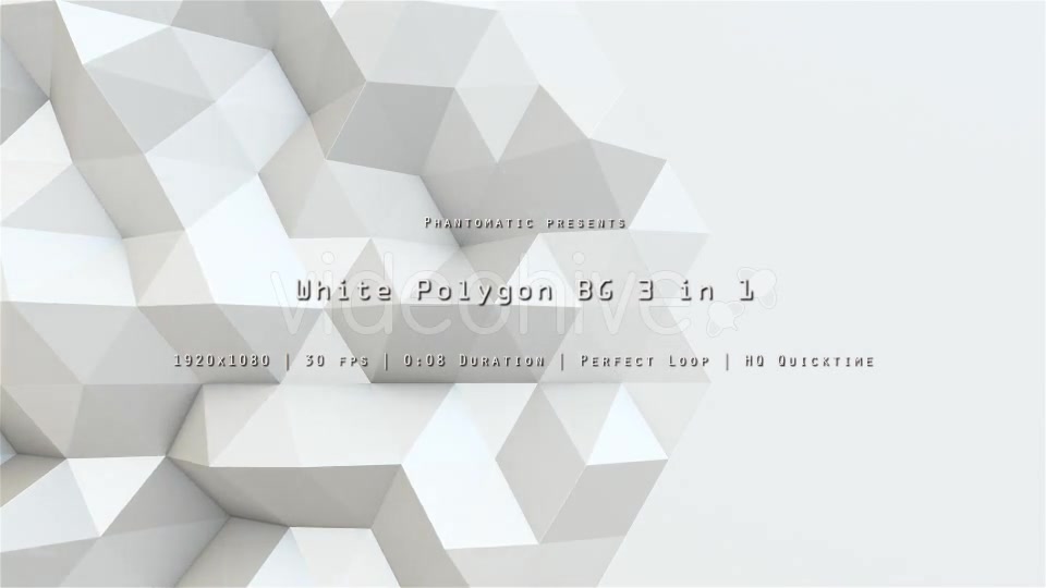 White Polygons Motion Videohive 21133649 Motion Graphics Image 5