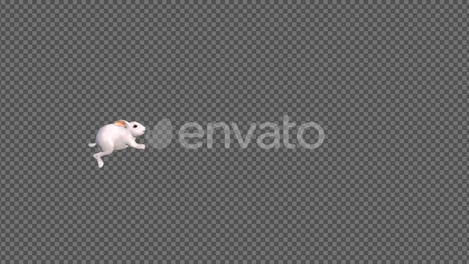 White Rabbit Jumping Videohive 22184507 Motion Graphics Image 3