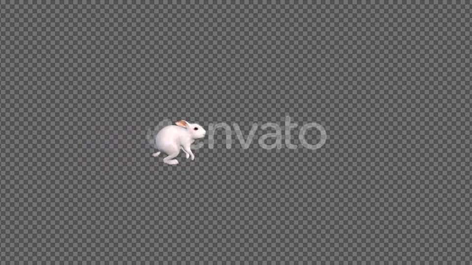White Rabbit Jumping Videohive 22184507 Motion Graphics Image 4