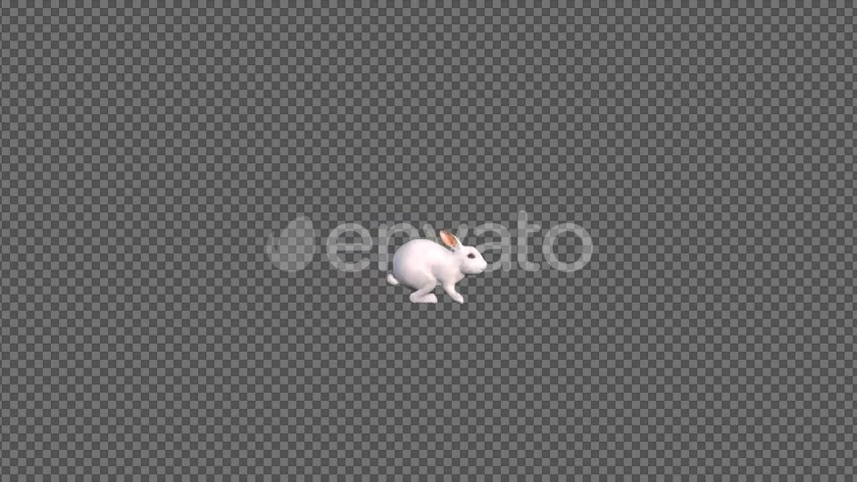 White Rabbit Jumping Videohive 22184507 Motion Graphics Image 5