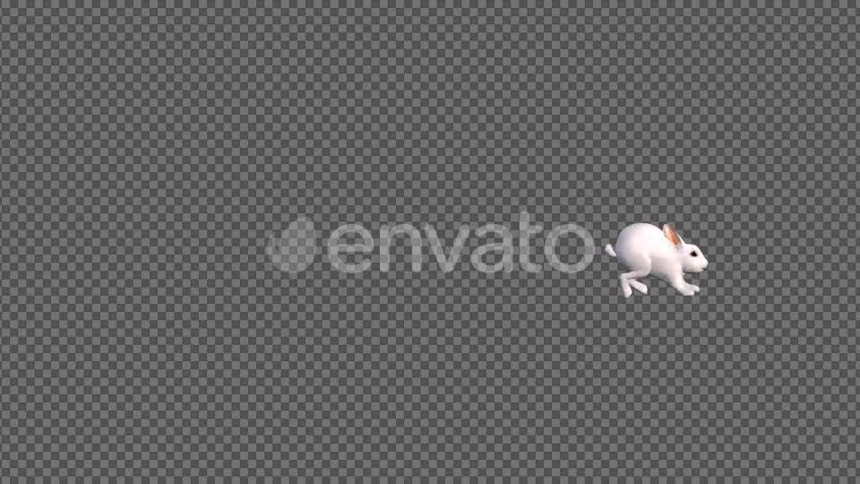 White Rabbit Jumping Videohive 22184507 Motion Graphics Image 7